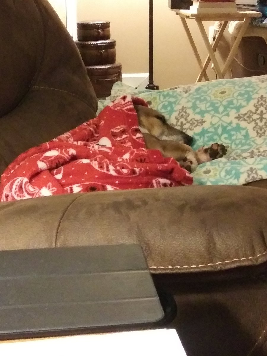 Daisy_Dog313's tweet photo. @barkbox My new blanket. ❤💤👍 https://t.co/FGz3hgmkVg
