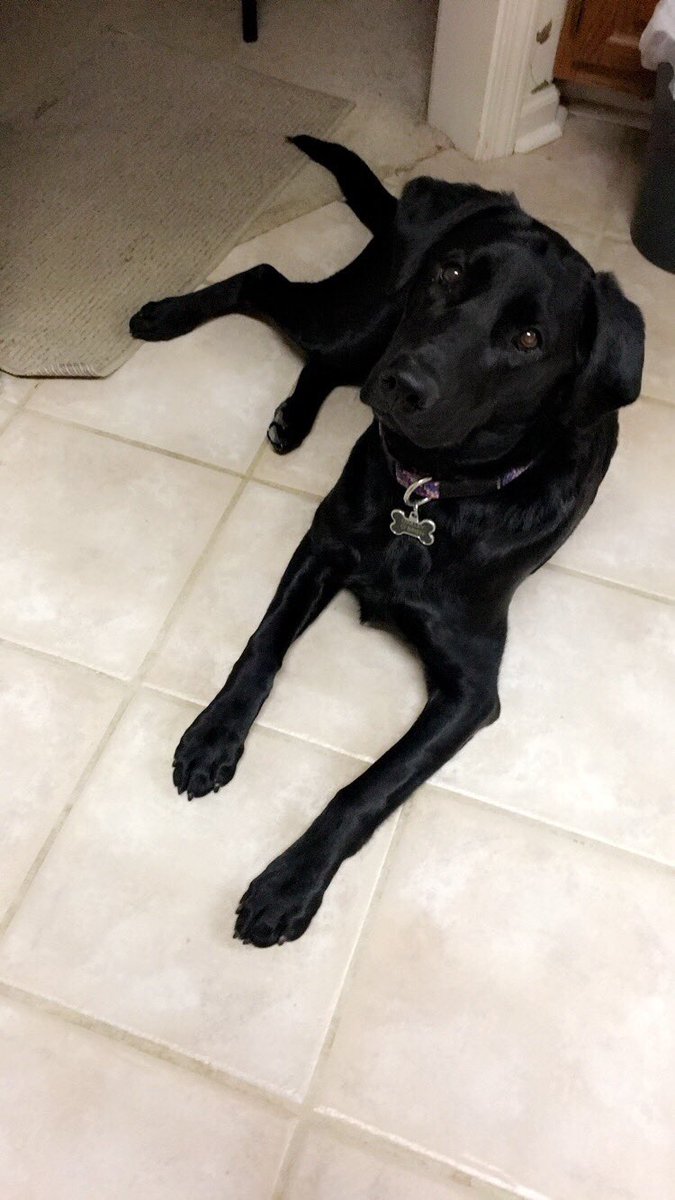 jessiimacc's tweet photo. rt if Oakley is prettier than you https://t.co/glO5oTGGKr