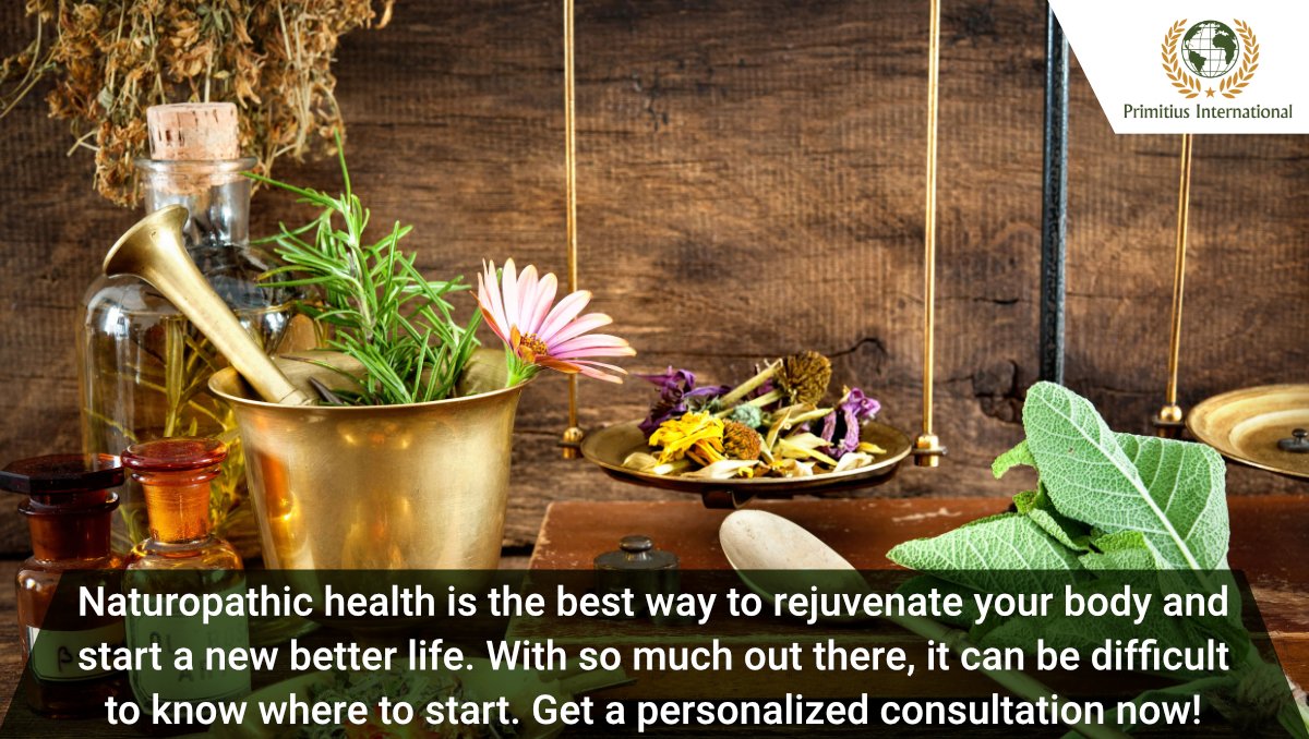 PrimitiusIntl's tweet photo. Want to focus on your health and improve your life naturally? naturopathic health is the best way to rejuvenate your body and start a new better life. With so much out there, it can be difficult to know where to start. get a personalized consultation now! https://t.co/bwKv8Os6IR https://t.co/wepToQml5Z