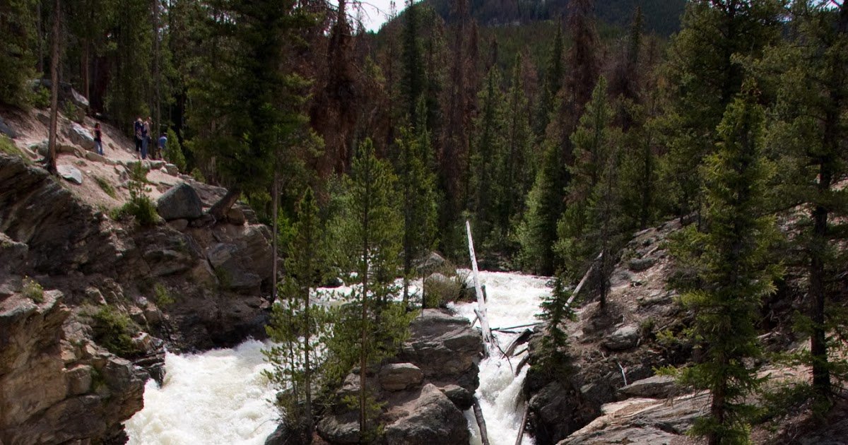 Day Hiking Trails On Twitter Waterfall Moose Await On West Rocky Day Hiking Trails On Twitter Waterfall Moose Await On West Rocky