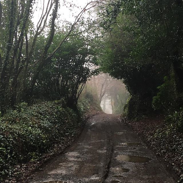 Towards the light #christmas #2018 #holloway #ancientlandscape bit.ly/2Q3OlhE