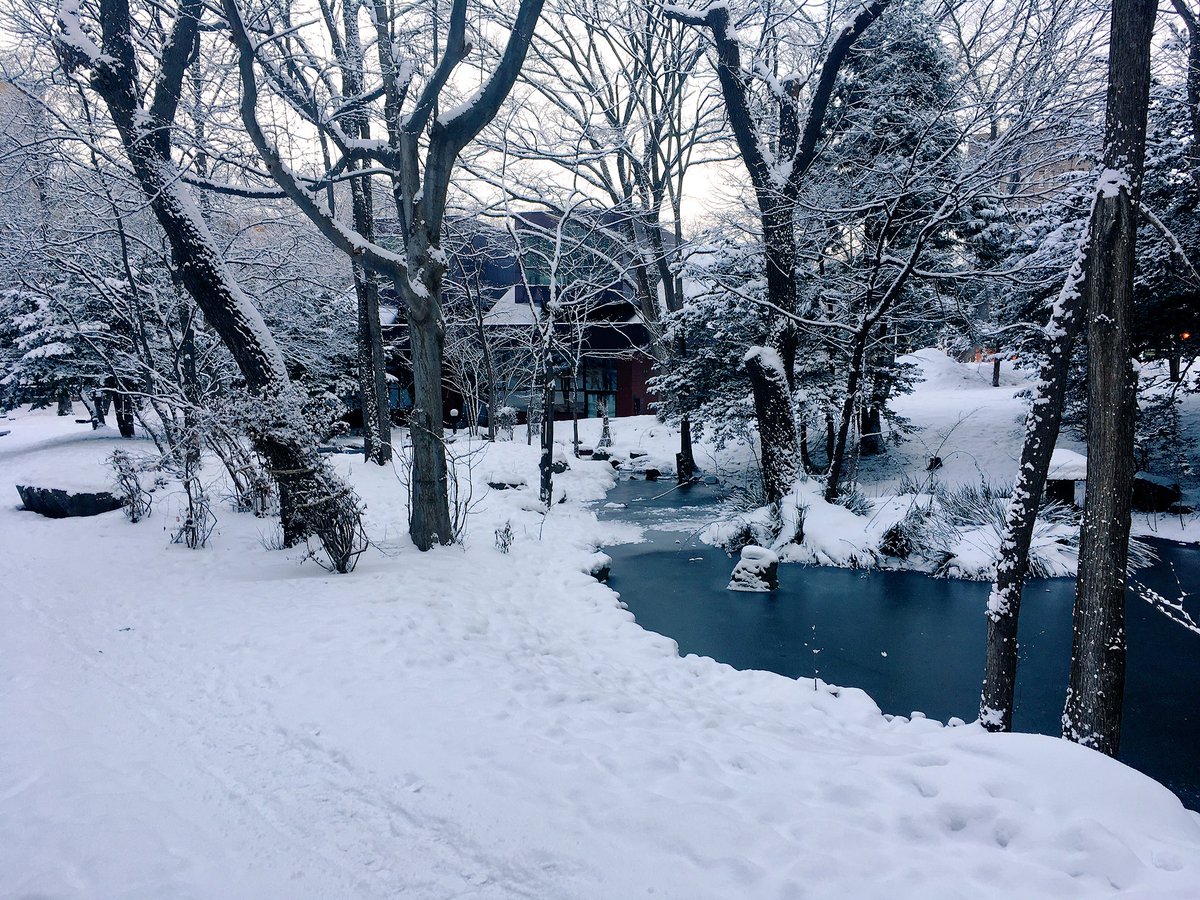 久保拓弥 サーバ下宿のごやっかいに V Twitter マイナス 8 の北海道大学