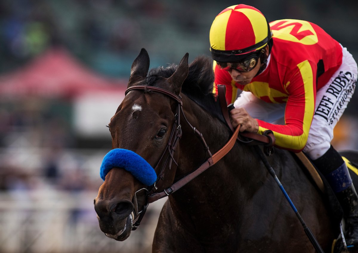 Horse Racing Nation on Twitter "McKinzie! 👀 He dusted the competition