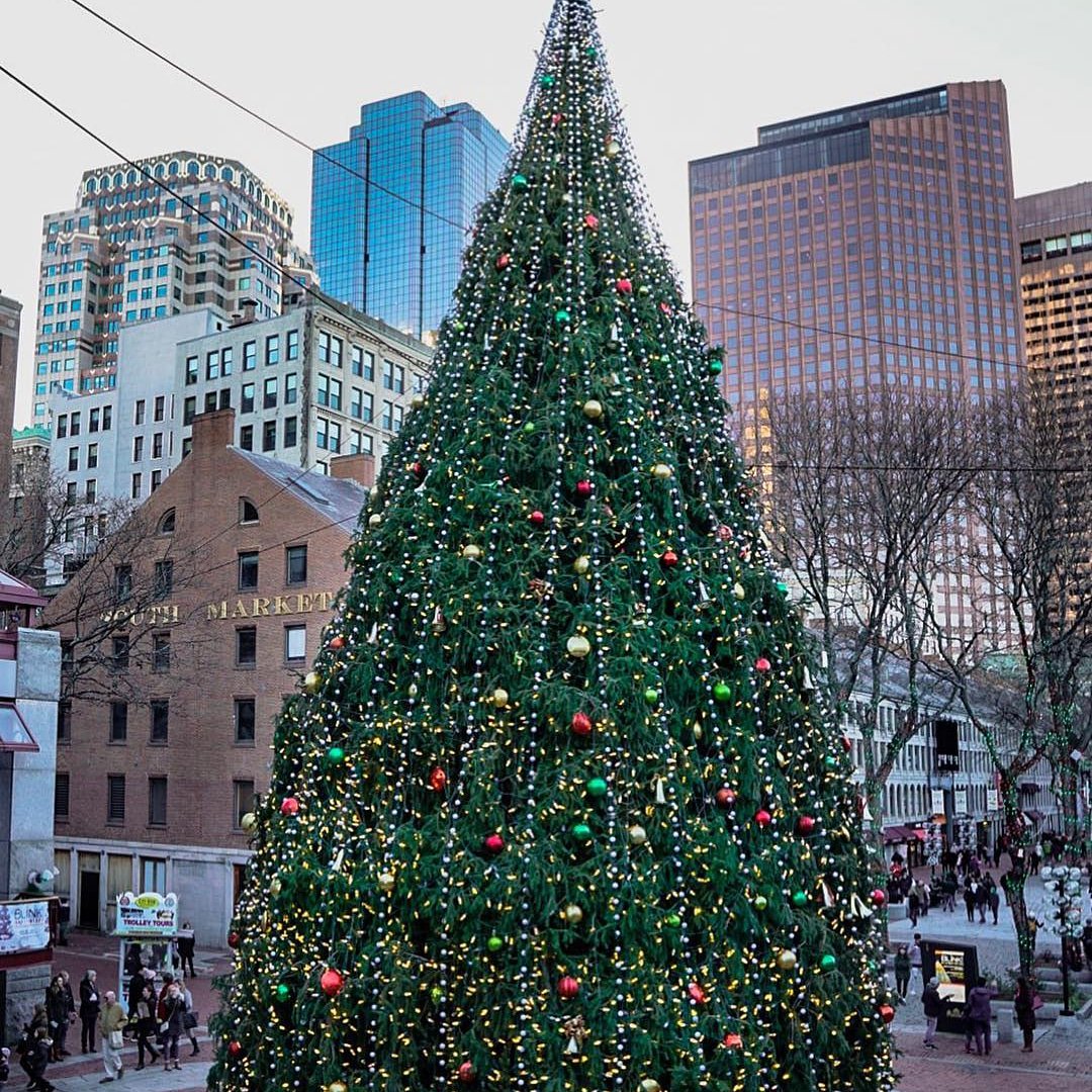 ErikRafteryRE's tweet photo. Stunning capture 🎄👌
..
Repost @thebeaconhiller
・・・
Merry Christmas 🎄
#boston #bostonma #christmasinboston #bostonusa #bostontree #bostonworld #quincymarketboston #quincymarket #downtownboston #bostonhomes #bostonrealty #bostonrealtor #bostonchristmas #bostonliving https://t.co/94rPPaq8F8