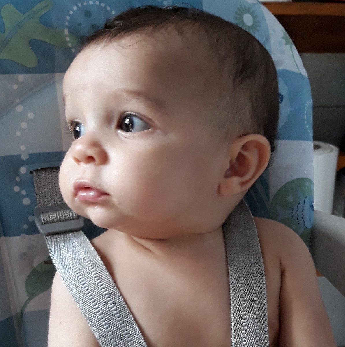 Muri_ella's tweet photo. Fiz as contas aqui e em 2019 vou ter que alugar essas bochechas para mordidas e apertões, para garantir um extraR$. Hehehe #bochecha #bochechinha #bochechão 💕🤩 https://t.co/5loQZB12zX