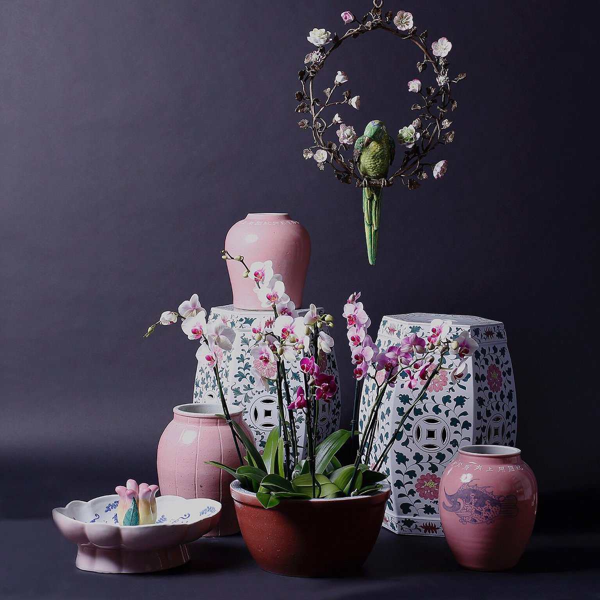 “Suddenly the day was full of flowers.” #chinese #porcelain #bowl #vase #gardenseat #orchids #flowers #italian #greenparrot #black #vignette #mood