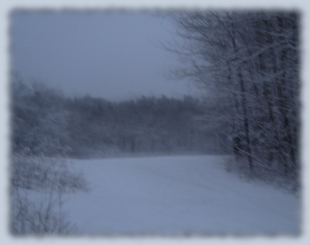 LinnChapel's tweet photo. View of my snowy meadow.
#amwriting #Northeast #oldfields #Winter #Holidays #snowscene https://t.co/p6BXh9Lulg
