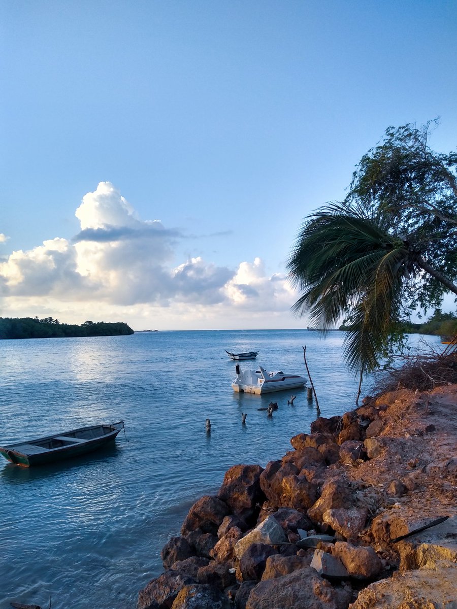 hortencialves's tweet photo. Incrível como a gente não explora o lugar onde a gente mora. Tanta coisa linda aqui, turistas vindo de todo o país conhecer e nós sem aproveitar nossas terras-praias!! #moitas #caetanos #icarai https://t.co/VNlV1VV0eR