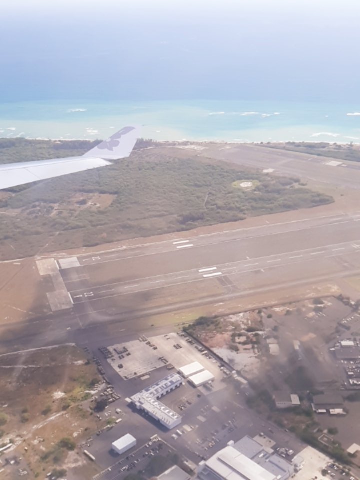 DogMod6's tweet image. Hawaii vacation