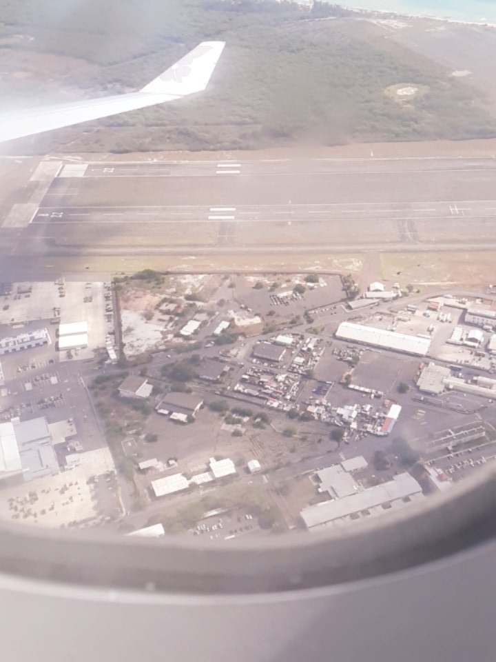 DogMod6's tweet image. Hawaii vacation