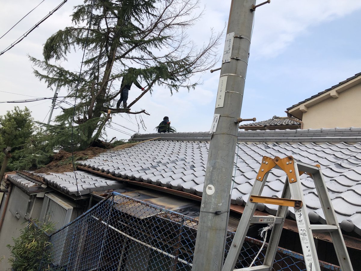 旭 スタンプ コイン (98) 사진