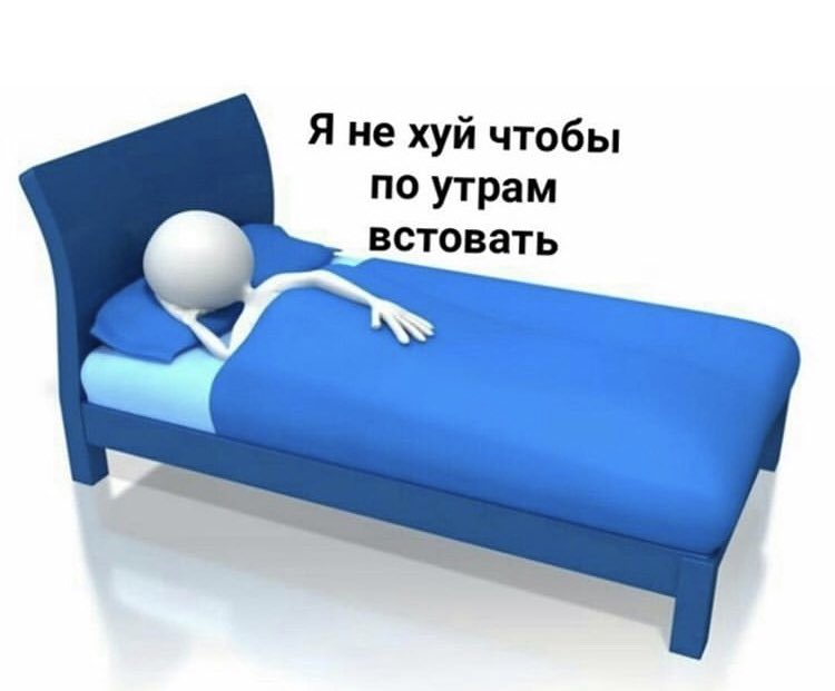 NasyYakovleva's tweet photo. доброе утро , коты 💞 https://t.co/FAGJb5Ee6g