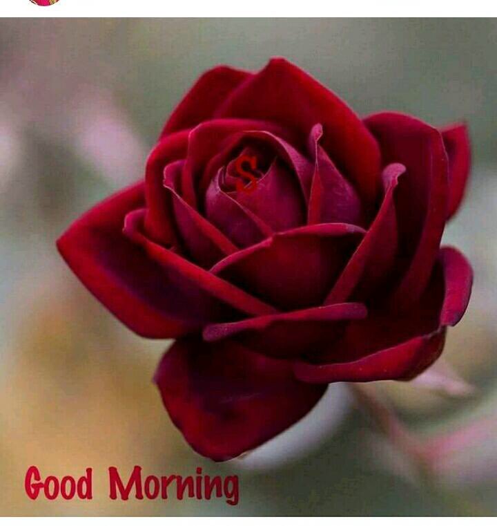 Pravin Chavda tweet media