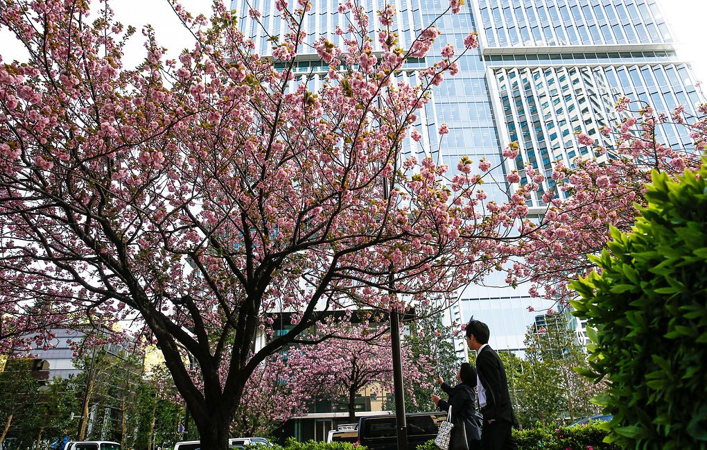 Ru emb japan go jp