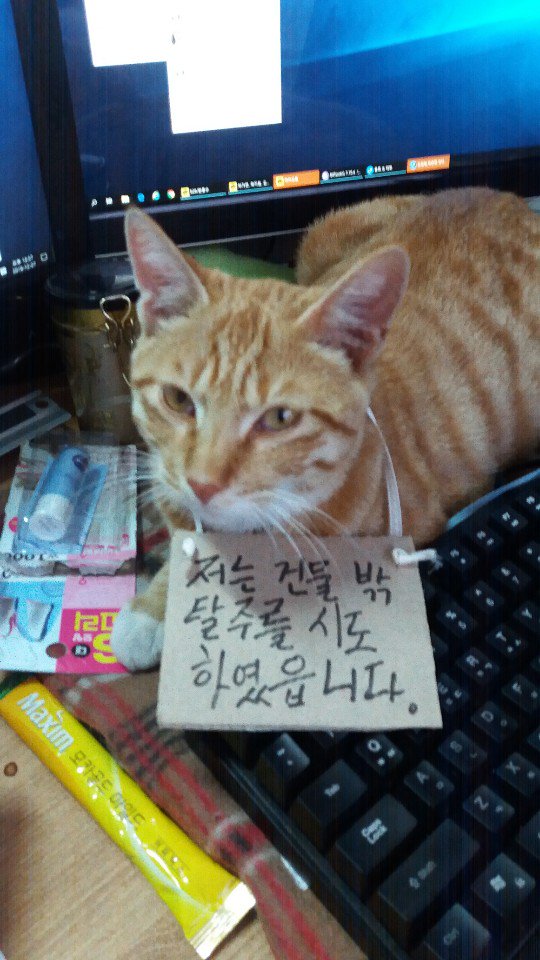 catbox_books's tweet photo. 탈주범의 말로. 
(그러게 이 추운 날에 왜 나간다고......) https://t.co/kAhq7vMVW0