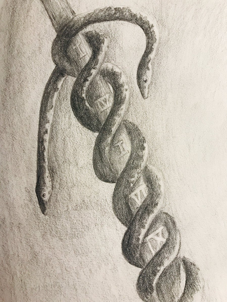 VEBaring's tweet photo. On the 2nd day...two coiling asps. The gates will appear on the 4th. #TwelveDaysOfChristmas #twelvedaysofcorvus #IamVEBaring #corvusfolio https://t.co/tptgZBsjs7