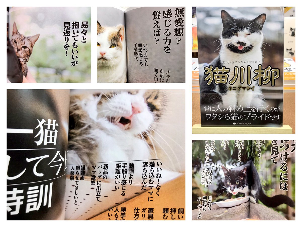 猫本専門 神保町にゃんこ堂 姉川書店 常に人の斜め上を行くのが ワタシら猫のプライドです 猫川柳 ネコダマシイ 攻めの姿勢を崩さない 猫たちの本音がぎゅっと詰まった猫川柳 易々と 抱いてもいいが 見返りを はい 了解いたしました 猫本専門 神保町にゃんこ堂 姉川書店 常に人の斜め上を行くのが ワタシら猫のプライドです 猫川柳 ネコダマシイ 攻めの姿勢を崩さない 猫たちの本音がぎゅっと詰まった猫川柳 易々と 抱いてもいいが 見返りを はい 了解いたしました