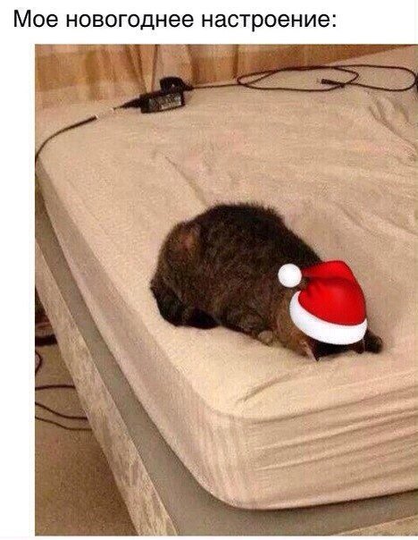 Почти все сейчас жалуются типа новый год а настроения нет. Новогоднее настроение прикол. Новогодние хлопоты. Нет настроения на новый год. Нет настроения на новый год.