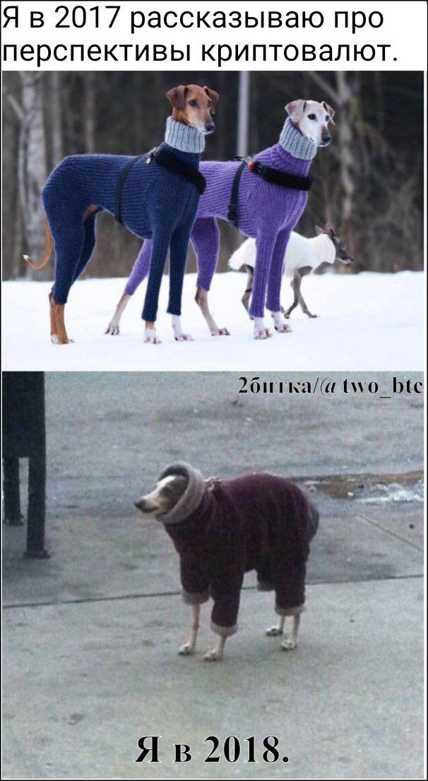 VTuliakov's tweet image. 