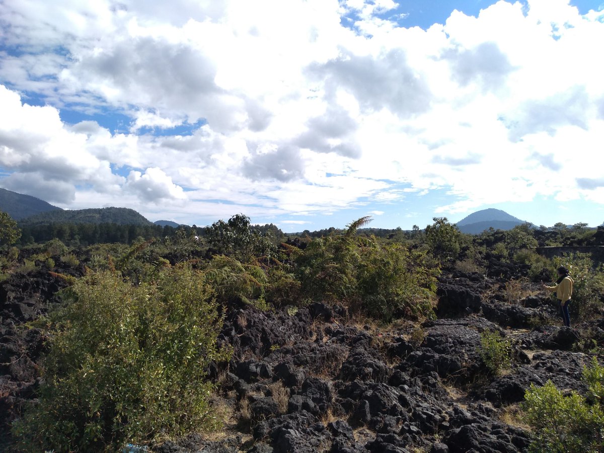 AleBeatrizV's tweet photo. San Juan Parangaricutiro, Michoacán. Pueblo sepultado tras la erupción volcánica de  "Paricutín" en 1943. https://t.co/pJ4sTZqSGj