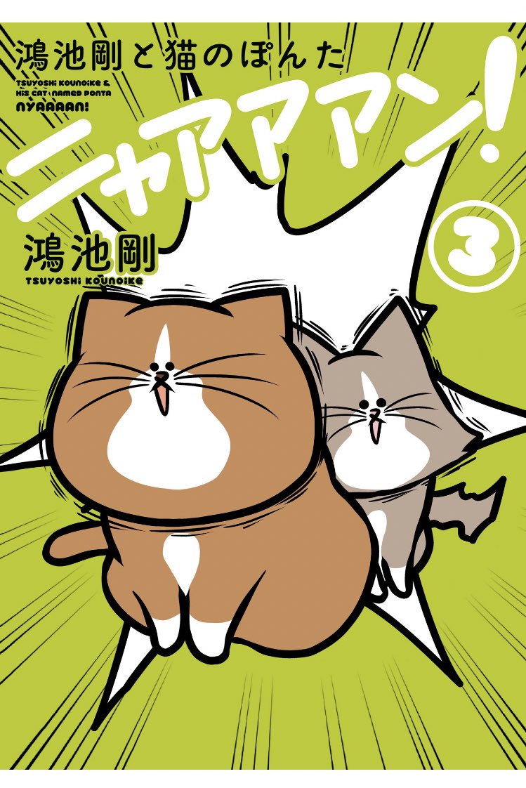 猫のぽんたニャアアアン Twitter Search 猫のぽんたニャアアアン Twitter Search