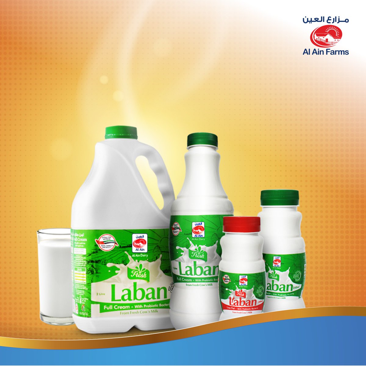 Probiotics are good for you. The world’s best is even better! Unlike other Laban, Al Ain Farms Laban has #LGG, the world’s best documented probiotic Lactobacillus strain. And it’s available in full fat Laban, Low Fat Laban, Al Ain Up and Flavored Al Ain Up variants.