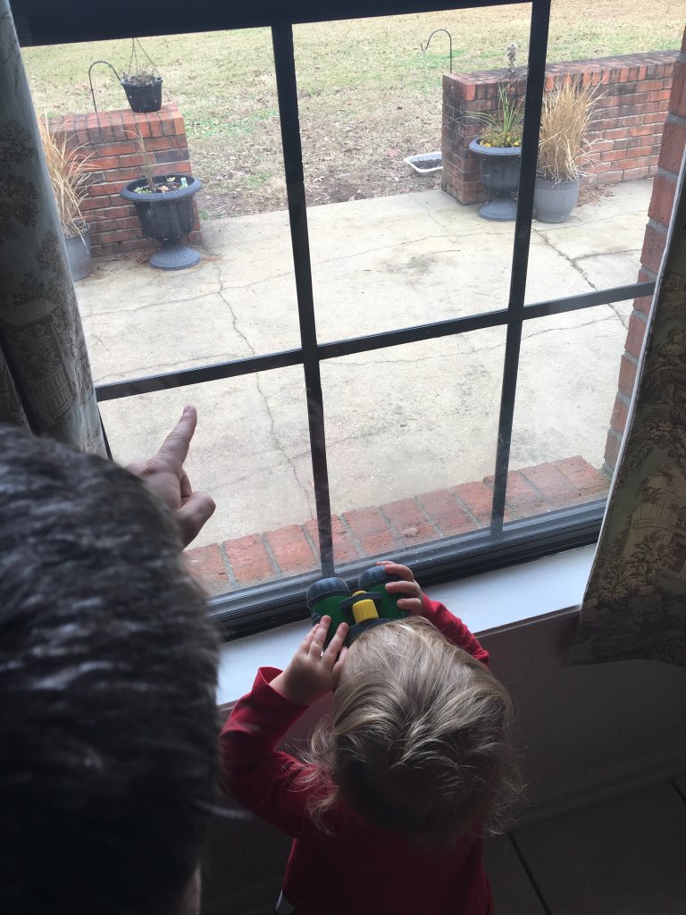 DrDisturbance's tweet photo. My 2 year old daughter is obsessed with helping me monitor a #backyardexperiment. Testing directed dispersal hypotheses reusing old pans, soil, and improvised ‘perches’. I am sooo excited that she is excited! #fortheloveofscience #womeninstem https://t.co/eV6jzpIhVQ