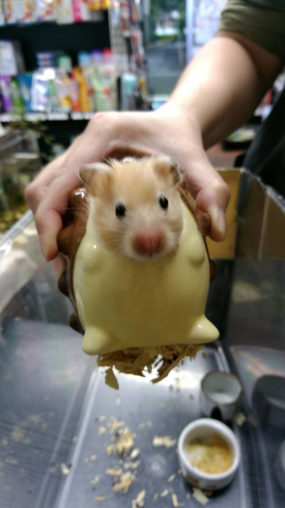 414円 格安激安 ミニマルランド ハムちゃんのこすぷれハウス 414円 格安激安 ミニマルランド ハムちゃんのこすぷれハウス