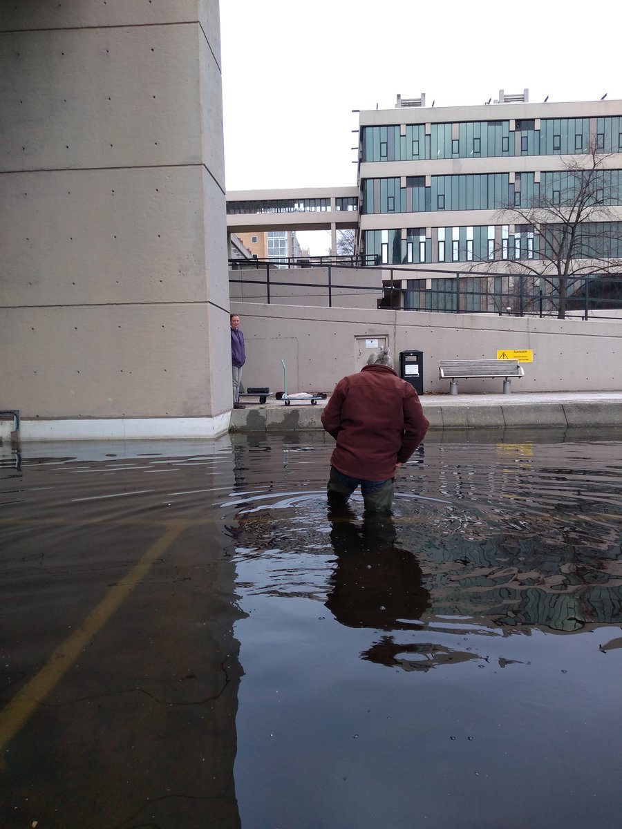 Richard Grayson (@rggeo) on Twitter photo Spent an enjoyable first morning back at work in 2019 installing a water quality probe in the Roger Stevens pond as part of the #LeedsLivingLab @UoL_Sus <a href="/SoGLeeds/">Geography at Leeds</a> <a href="/wateratleeds/">water@leeds</a> Spent an enjoyable first morning back at work in 2019 installing a water quality probe in the Roger Stevens pond as part of the #LeedsLivingLab @UoL_Sus <a href="/SoGLeeds/">Geography at Leeds</a> <a href="/wateratleeds/">water@leeds</a>