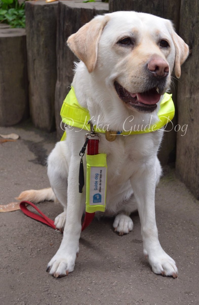 Kika sat with a large smile looking very happy