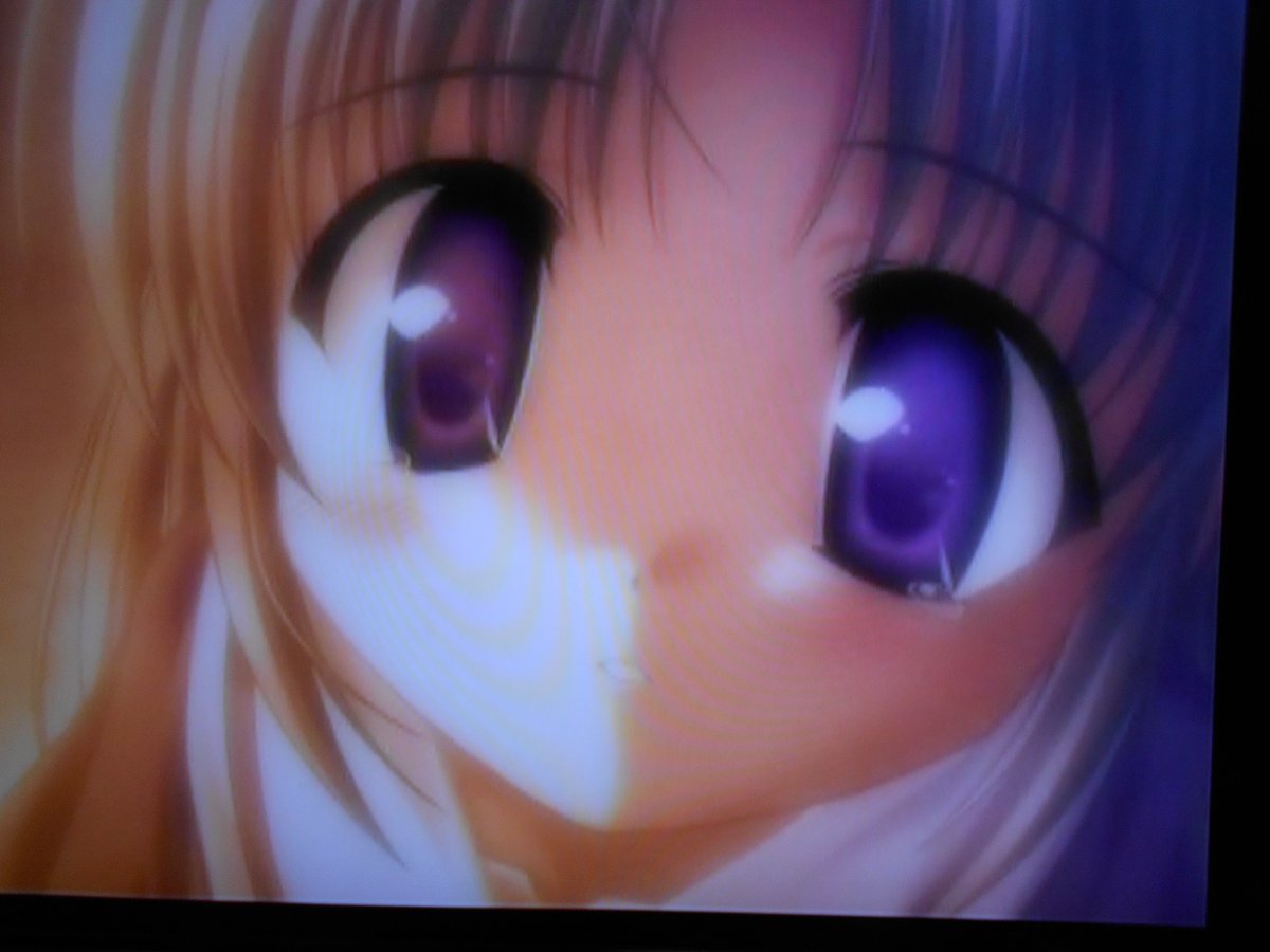 野乃原結 Twitter Search