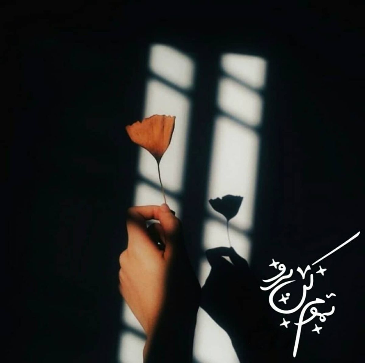 btcminemeli's tweet photo. تموم کن برو https://t.co/9JlhU5vmWH