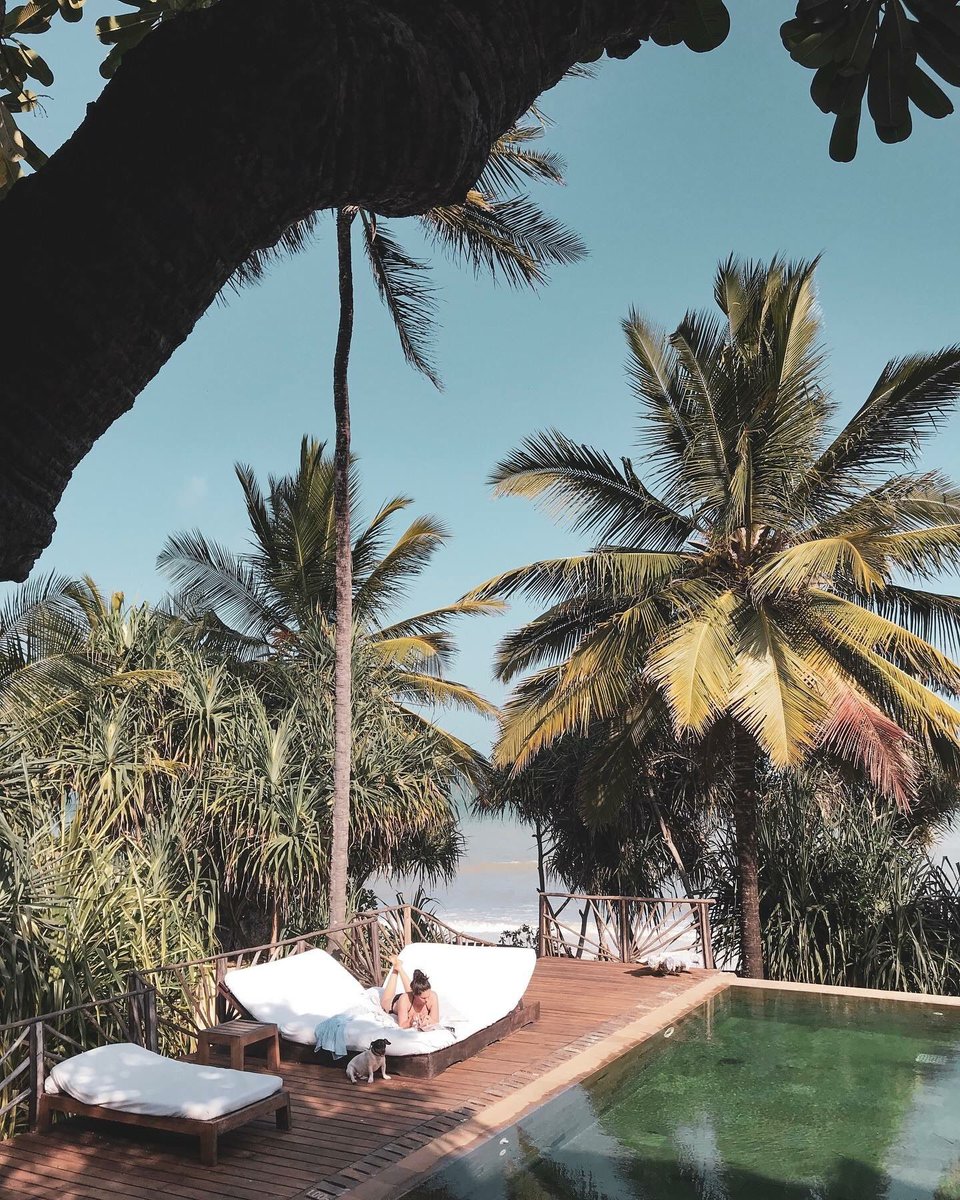 Lazy sunny days at Alfajiri Villas @alfajiri_villas
Photo: @gmolinarogolf
.
#everythingextraordinary #dmafrica 
#travelgirl #luxurydestination #barefootluxury #bucketlist #alfajirivillas #pool #kenya #magicalkenya #dianibeachkenya #africa #luxuryvillas #beautifuldestinations
