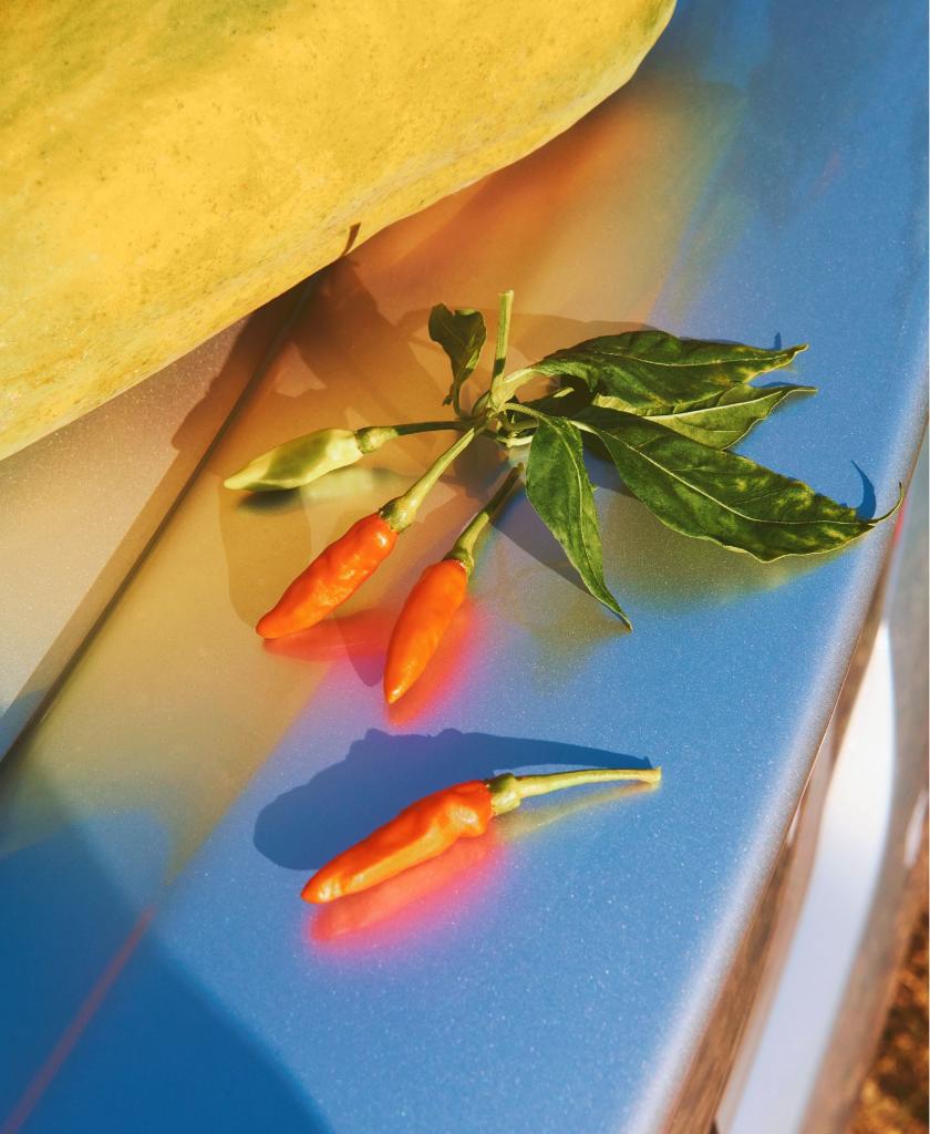 Chiles are native to South and Central America, but they've taken over the world. Follow Airbnb Magazine on a trip to 3 countries that were remade by chili peppers.

abnb.co/peppers