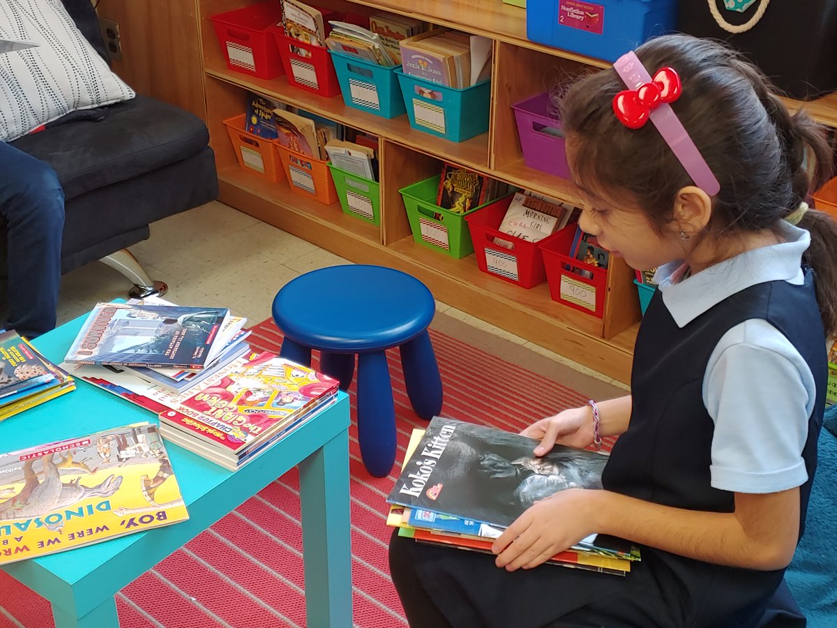 CHES_TAG's tweet photo. A variety of books in a classroom library is a MUST!! Consider donating unused books to teachers/classrooms 😀 #booksmakeadifference #readingmatters #chesMcCoy2 https://t.co/JeojzXlUSZ