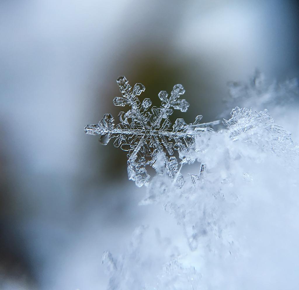 SoonerMall's tweet photo. We will be open during regular hours today, however due to winter weather, some store hours may vary. We advise checking with individual stores and planning your trip accordingly. For more information and up-to-the-minute announcements, visit our website https://t.co/uja4l41I9Q https://t.co/gv5bLuFGnl