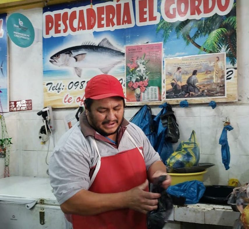 JorgeWated's tweet photo. Esta mañana visitamos a Don Óscar y Katia Vélez en el mercado de #Sangolquí, quienes, gracias a @BanEcuadorBP, recibieron un crédito de $10.000 para invertir en capital de trabajo para su negocio dedicado a la comercialización de mariscos. 

#BanEcuador #TeHaceCrecer https://t.co/FXrEahu5eg