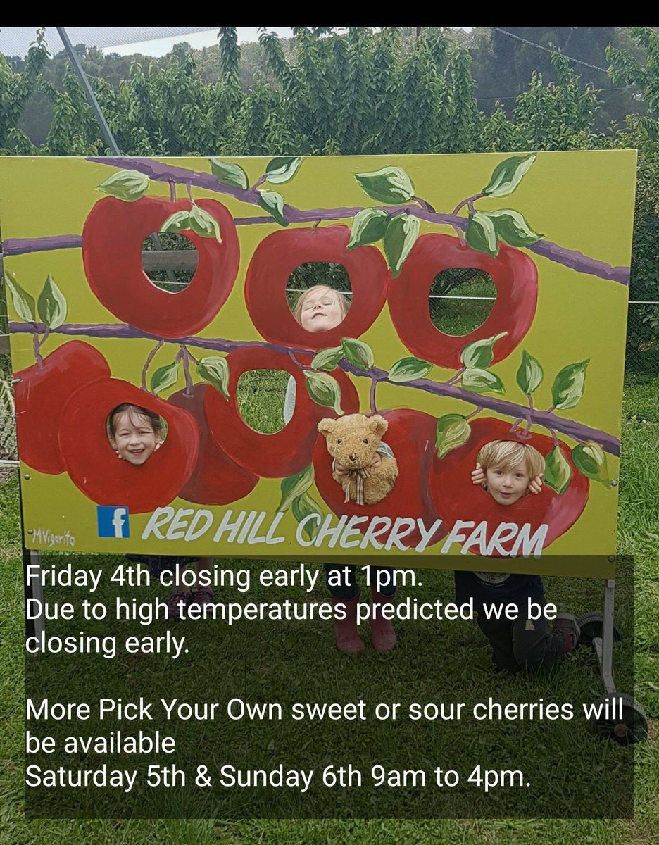 AgPeriUrban's tweet photo. @alinojnat @farmingforever @ActOnClimateVic @JaclynSymes @LisanevilleMP @G21Agribusiness @VicFarmers @GayleTierney @surfcoastnotes @notthatjt @afsnsw We specifically went early shopping today, for fresh picked local produce, that was not yet heat affected.
Quite a few of the #MorningtonPeninsula farm gates are closed or closing early, due to weather.
The heat affects usual busy Friday trade.
@LocalFoodLoop #WeEatLocal #ausag https://t.co/Mv5IBHpY8U