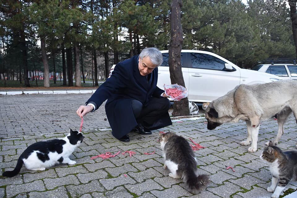 ishayko's tweet photo. Isparta Belediye Başkan Adayı Şükrü Başdeğirmenden küçük dostlarımız İçin kulübe projesi. Tamda kışım şartlarının ağırlaştığı bu dönemde diğer belediye başkan adaylarından da aynı duyarlılığı beklemekteyiz. 

#ŞükrüBaşdeğirmen 
#HayvanSeverler 
@basdegirmen_32 @akparti_isparta https://t.co/td6hEkdK9Z