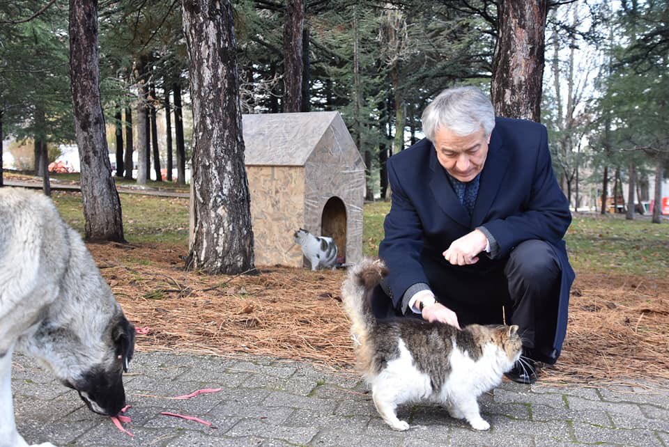 ishayko's tweet photo. Isparta Belediye Başkan Adayı Şükrü Başdeğirmenden küçük dostlarımız İçin kulübe projesi. Tamda kışım şartlarının ağırlaştığı bu dönemde diğer belediye başkan adaylarından da aynı duyarlılığı beklemekteyiz. 

#ŞükrüBaşdeğirmen 
#HayvanSeverler 
@basdegirmen_32 @akparti_isparta https://t.co/td6hEkdK9Z