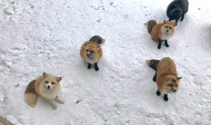 Twitterのコスプレ画像41