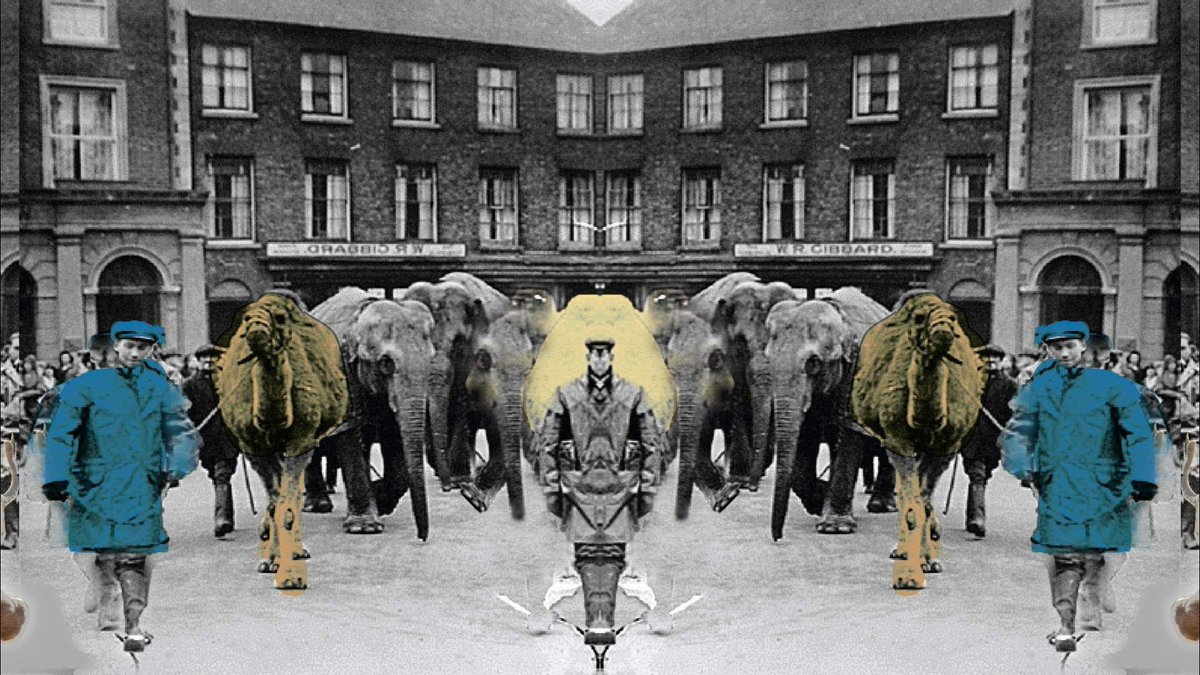 sgresswellart's tweet photo. 1931 #Dunstable. Crowds gather to see animals parade down high street north to mark the opening of the new #whipsnadezoo!
Stills from part of the film I'm developing for the #ourfingerprints #art project. #workinprogress for #DunstableLibrary
@cbc_libraries @letstalkcentral https://t.co/3mSaUnO4Rg