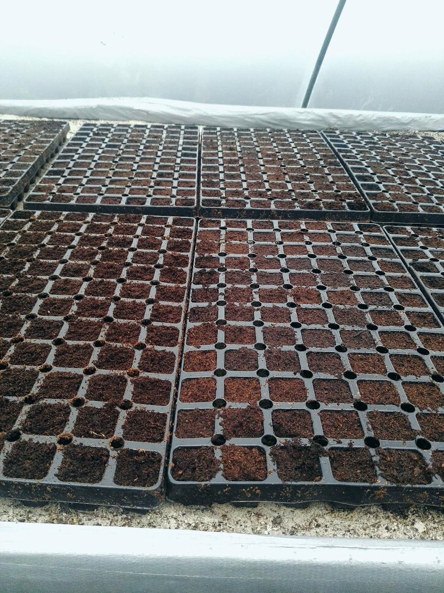 We would like to wish all our followers and supporters a happy new year. It’s all go here again at Ballybeg Greens. Getting ready for what we can only hope will be a great growing year for us. Sure why not start the year with sowing a new mix salad crop.