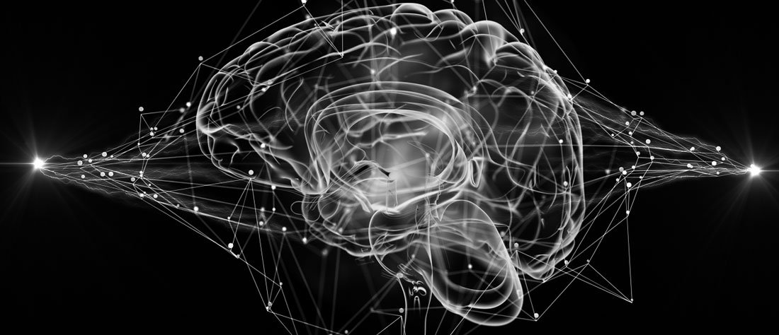 DarwinVerne's tweet photo. ¿Y si pudiéramos utilizar la ciencia y la tecnología para tomar decisiones con certeza científica? Esto es lo que propone el #MindDecoding.
Descúbrelo en el último post de nuestro blog, escrito por Sonia @soniamonbas, de Brainvestigations 👉 https://t.co/OLw99kCbnZ https://t.co/BzlNU7pDWk