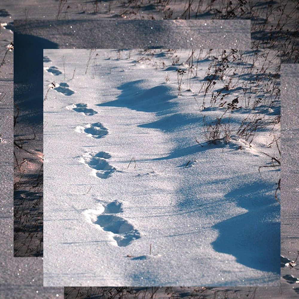 Hurricane_Music's tweet photo. New single available tomorrow 🎉😅

'Cold Feet' ❄️❄️❄️

Produced by meee!

featuring :

@CarelessUK
@suelily_
@Damboss
@MrEklipse
@AyoWrote

Artwork by @JordanTheHippy
@eclecticsuk https://t.co/nM4bq48mVJ