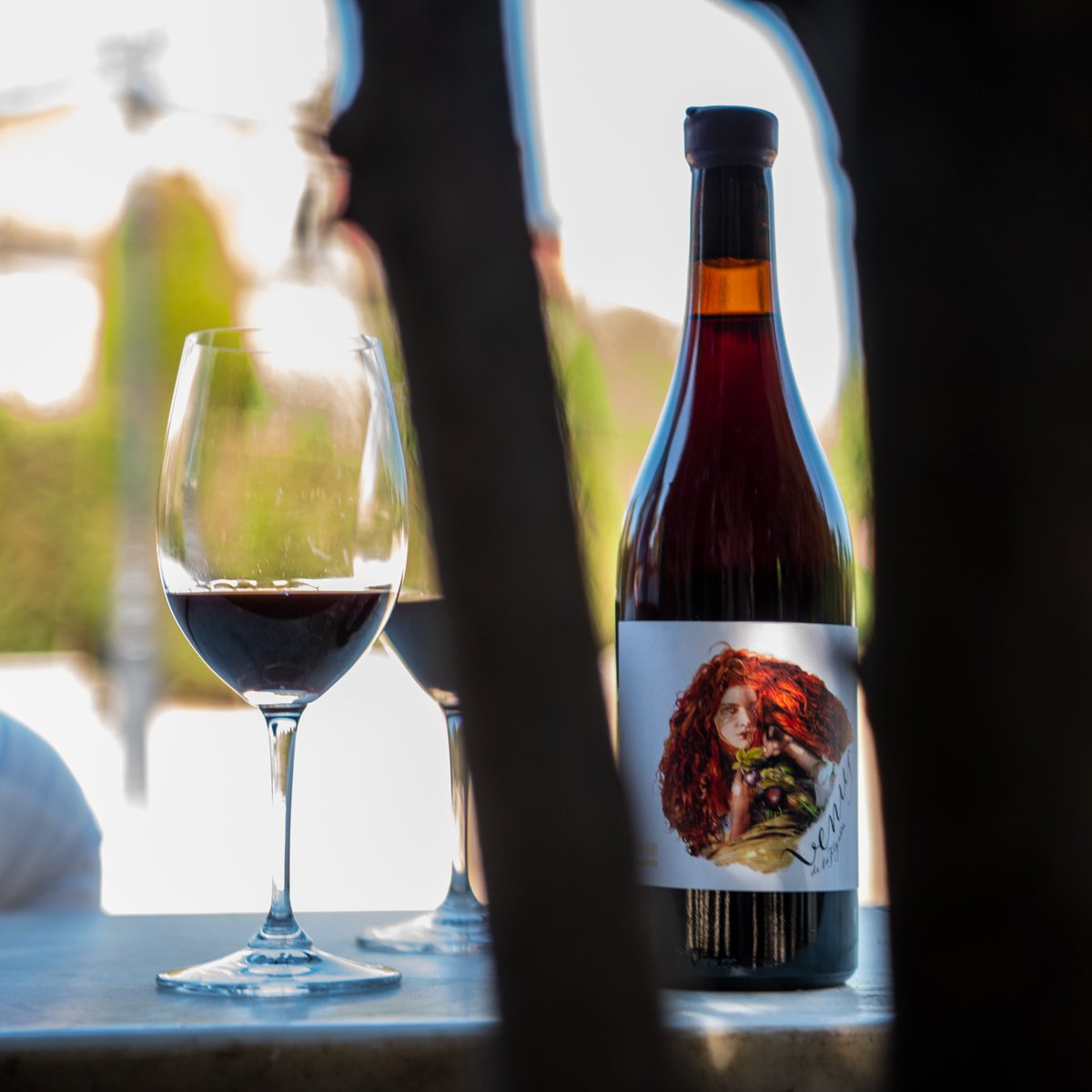 CalidoscopiVins's tweet photo. Venus de La Figuera 2014 és fruit de la col·laboració entre la Cooperativa del poble la Figuera al Montsant, Sara Pérez i René Barbier. La pura expressió de la garnatxa en la seva versió més fresca i elegant https://t.co/GSbvsHiUjm