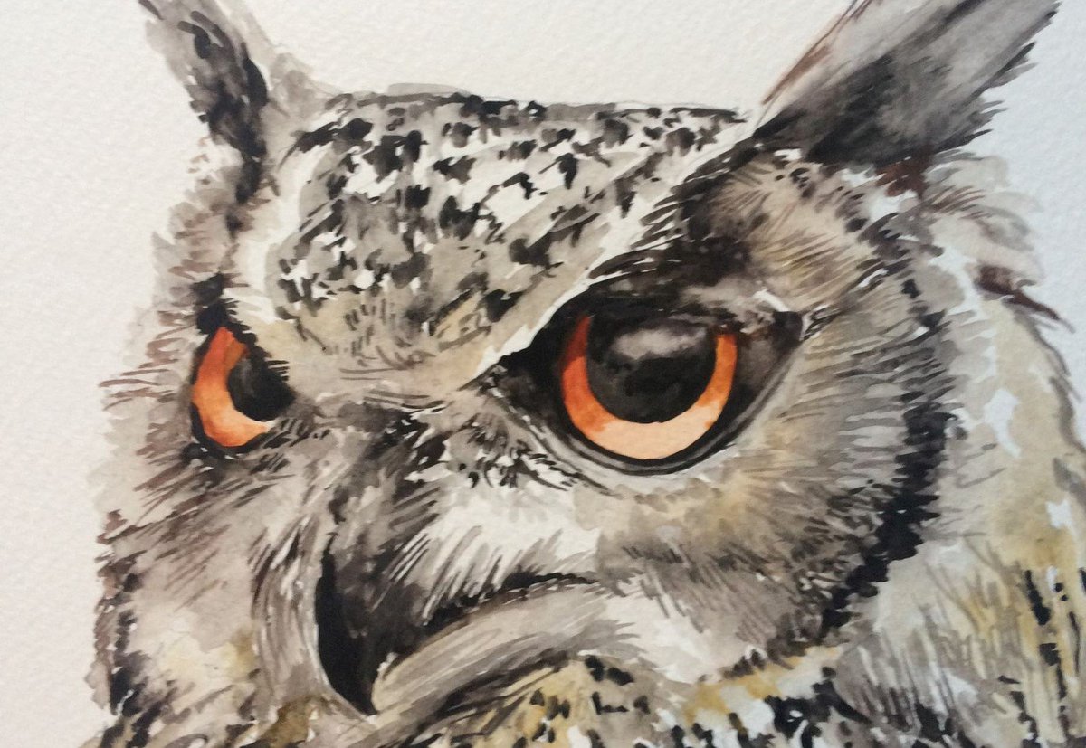 Craftswirl, Armagh tweet media