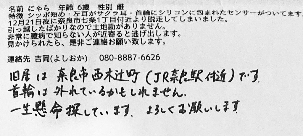 Necoco En Twitter お友達の大切な三毛猫さんが12 21から居なくなってしまいました 名前 にゃらちゃん 場所は奈良市七条です 郡山市に行っている可能性もあり 毎日一生懸命探しておられます もし見かけた方がいらっしゃいましたら こちらのアカウント Megu6356