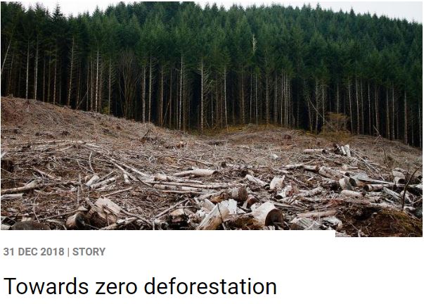 GlobalCanopy's tweet image. Catch up on progress towards zero-deforestation and the further action needed in #2019 from @UNEnvironment : ow.ly/Jpup50k55AO @HCVNetwork  @Highcarbonstock

#zerodeforestation #deforestation #forest #carbon #climatechange #UN