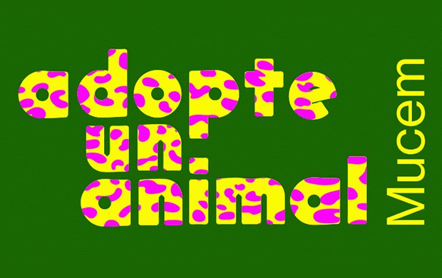 🐧Ouvrez les portes du zoo du Mucem et adoptez un animal !🐧
Après 3615 Love qui accompagnait l'abécédaire « L'Amour de A à Z », l'application de rencontre des collections du Mucem revient avec Adopte un animal pour l'exposition « Les Animaux de A à Z » !
mucem.org/adopte-un-anim…